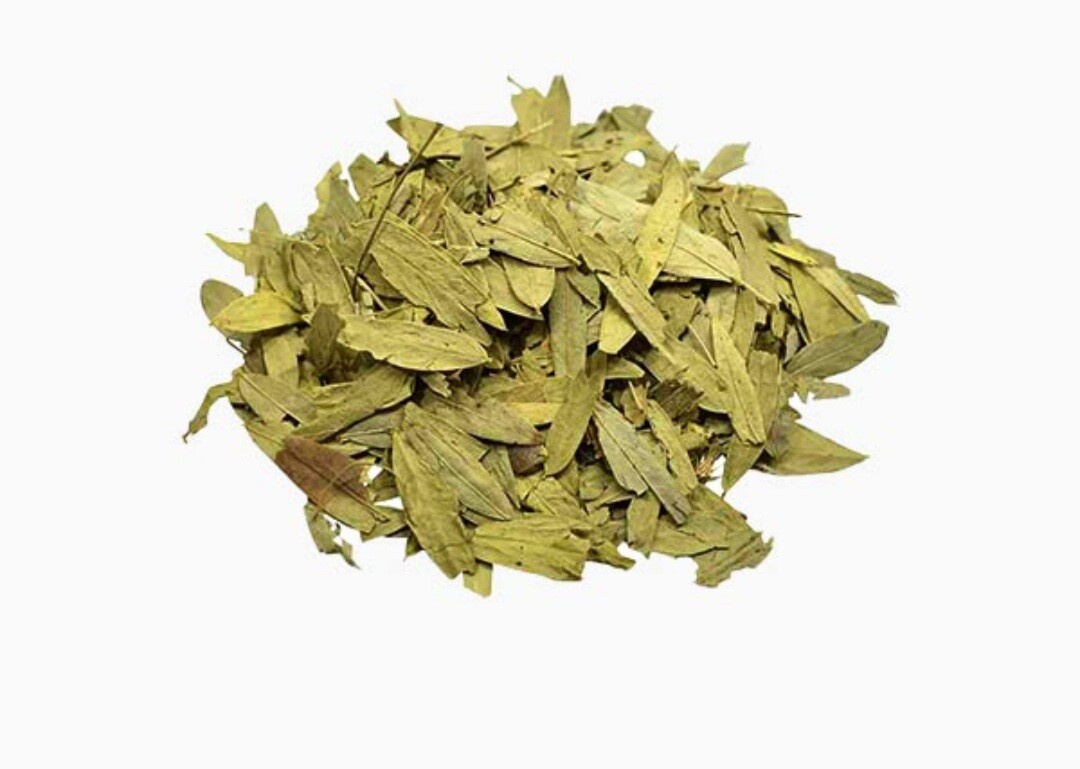 Senna patta,Sonamukhi leaves leafs,Sanay Senna Sona patta,sanay leaves, jadi but
