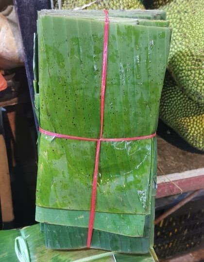 Fresh Premium Banana Leaves 3lb – Perfect for Authentic Cooking