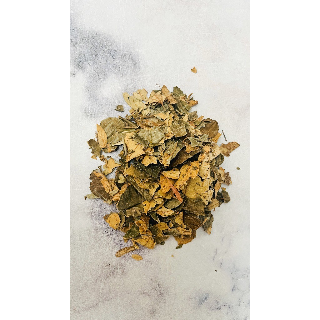 Daun Bidara Kering Dried Sidr Leaves 50g aroma ritual culinary heritage premium