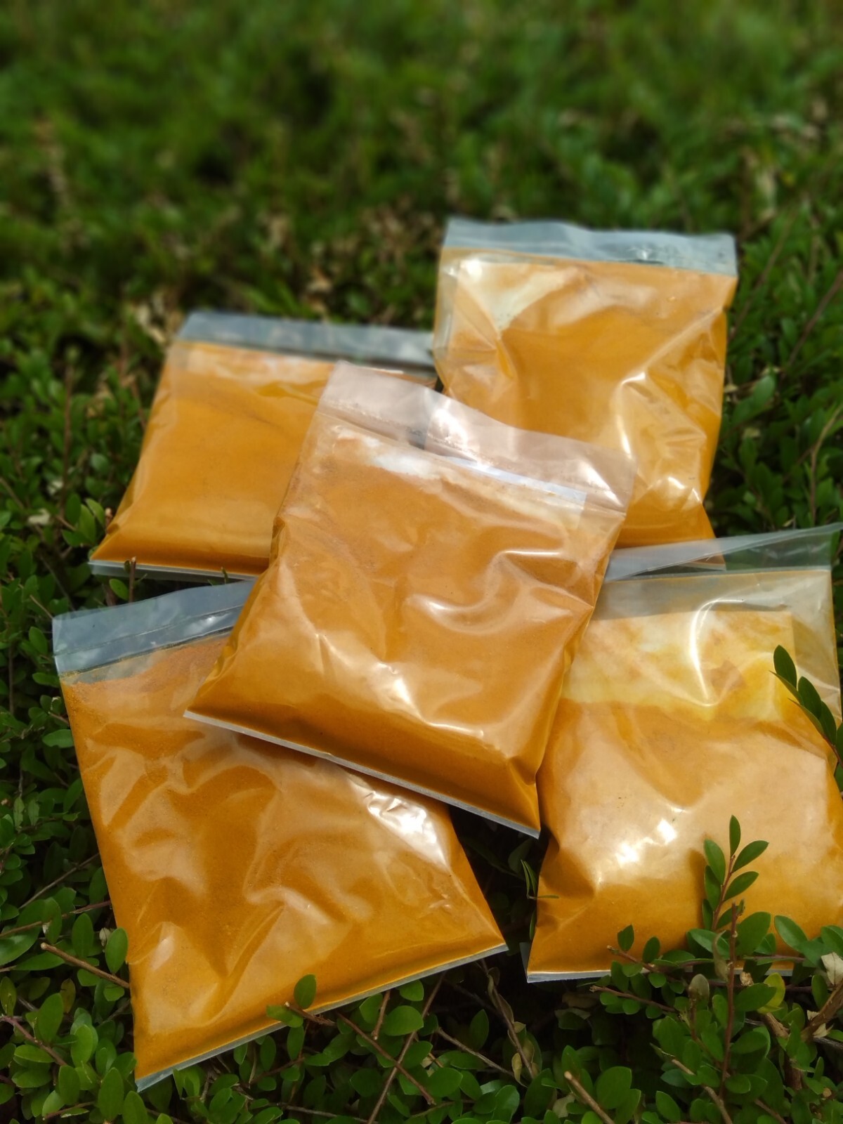 Sri lanka best quality turmeric powder 100%natural free shipping