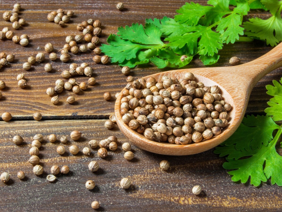 Food To Live Whole Coriander Seeds RAW NON-GMO Verified Dried Organic Spice 100g