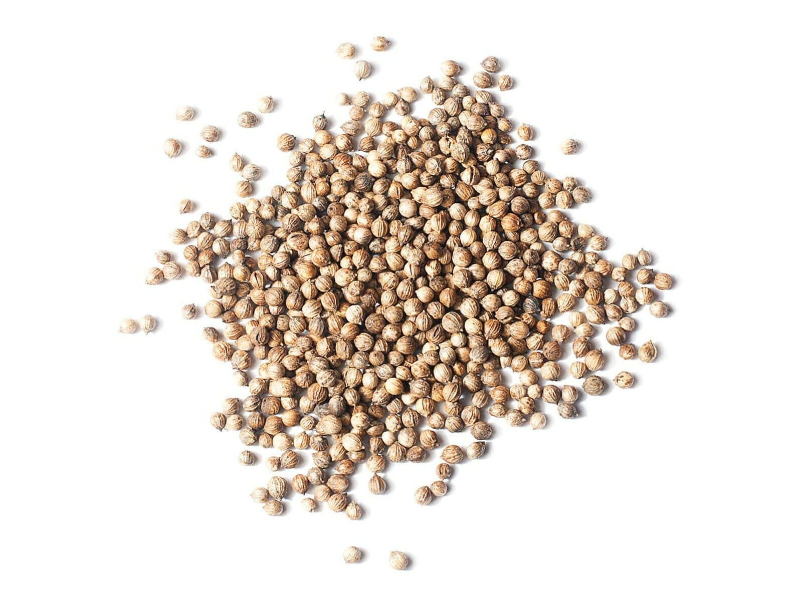 Food To Live Whole Coriander Seeds RAW NON-GMO Verified Dried Organic Spice 100g
