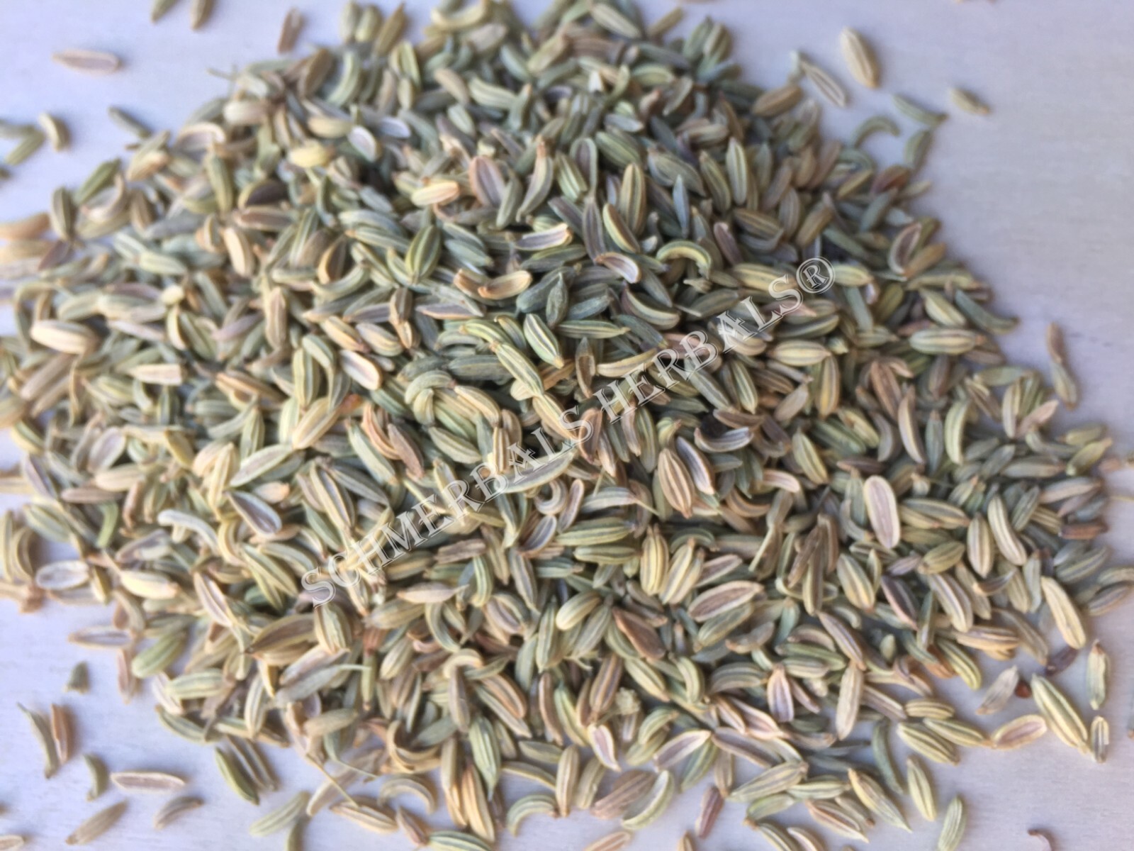 Fennel, Foeniculum vulgare, Whole Seeds ~ Schmerbals Herbals