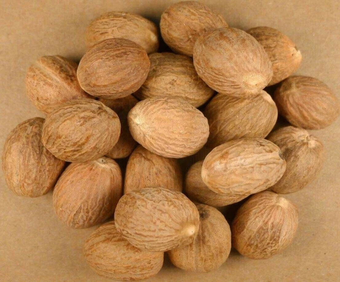 Jaiphal Asli Original Nutmeg Jayfal Jayphal Jaifal 50gm From India
