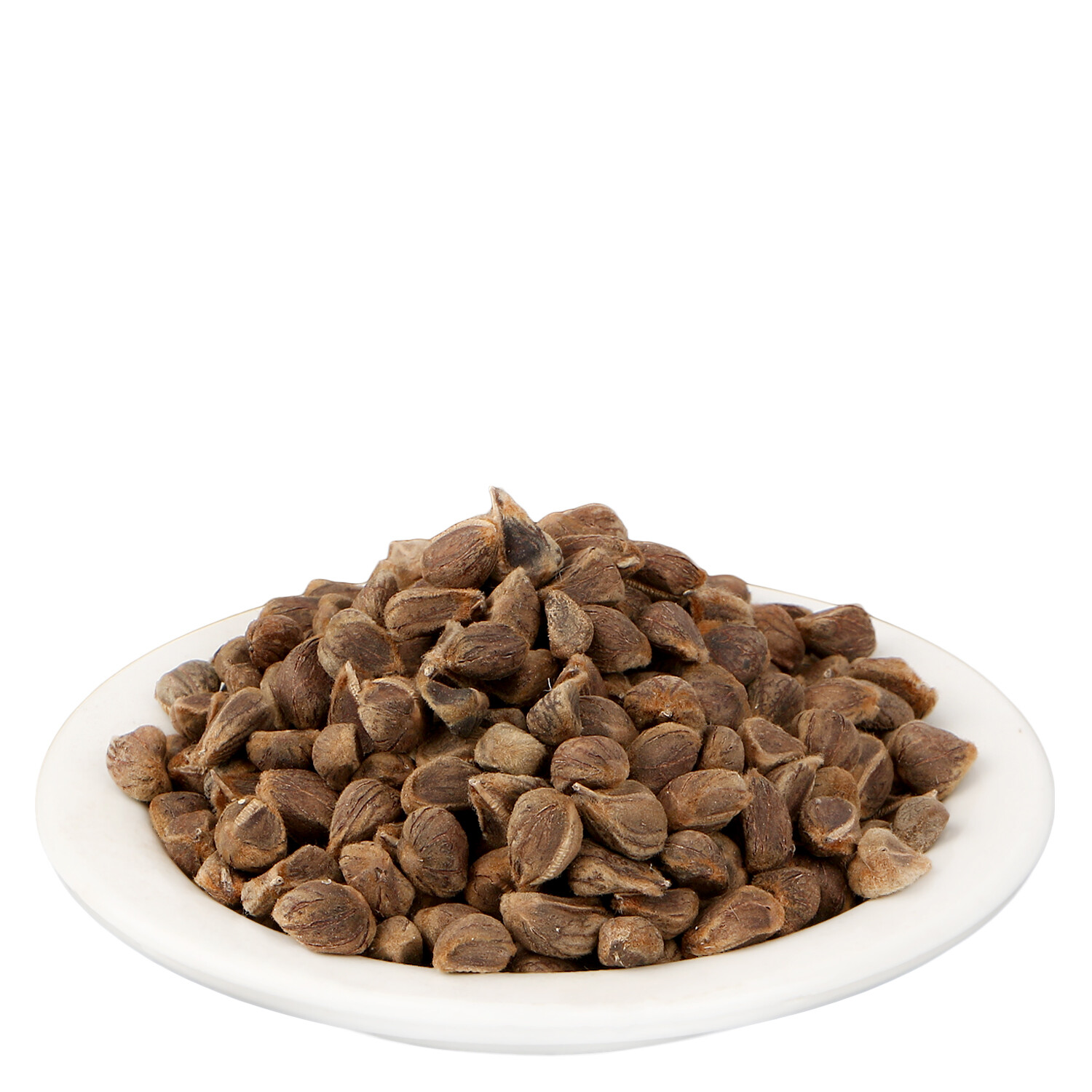 YUVIKA Beej Bidhara Asli – Vidhara Seeds – Vruddhadaru