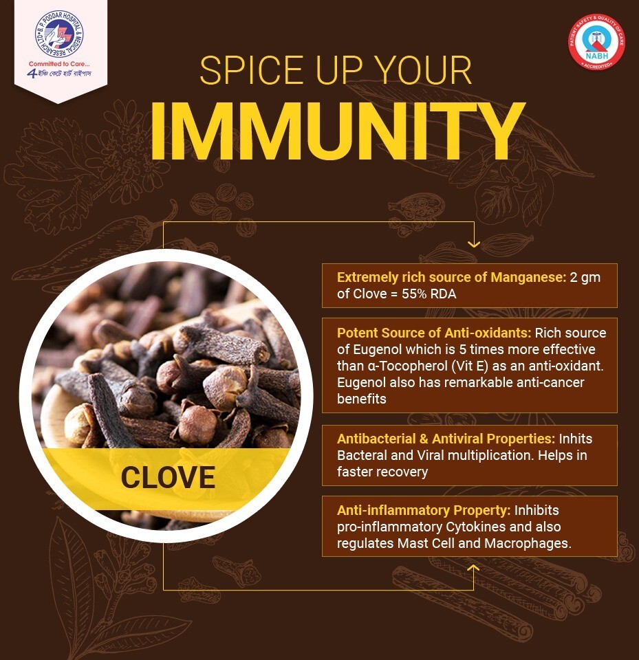 Organic Cloves Whole Aromatic Flavor Sun Dried Natural Ceylon Spices | Sri Lanka