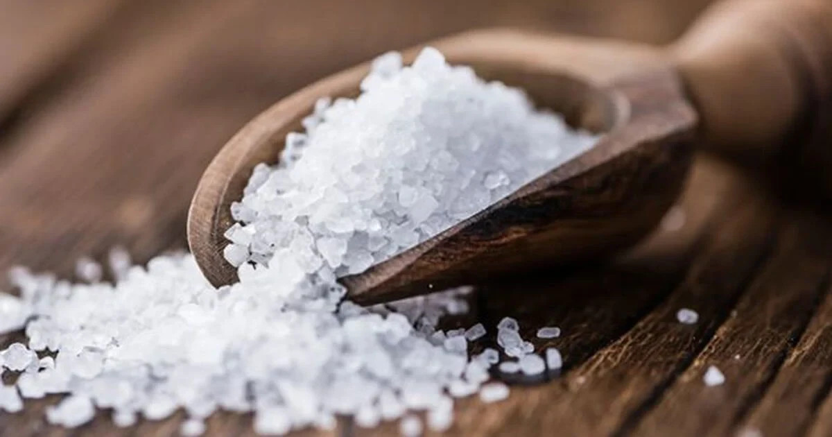 Brazilian Sea Salt from the Artisan Salts of the World by Merchant Spice Co.