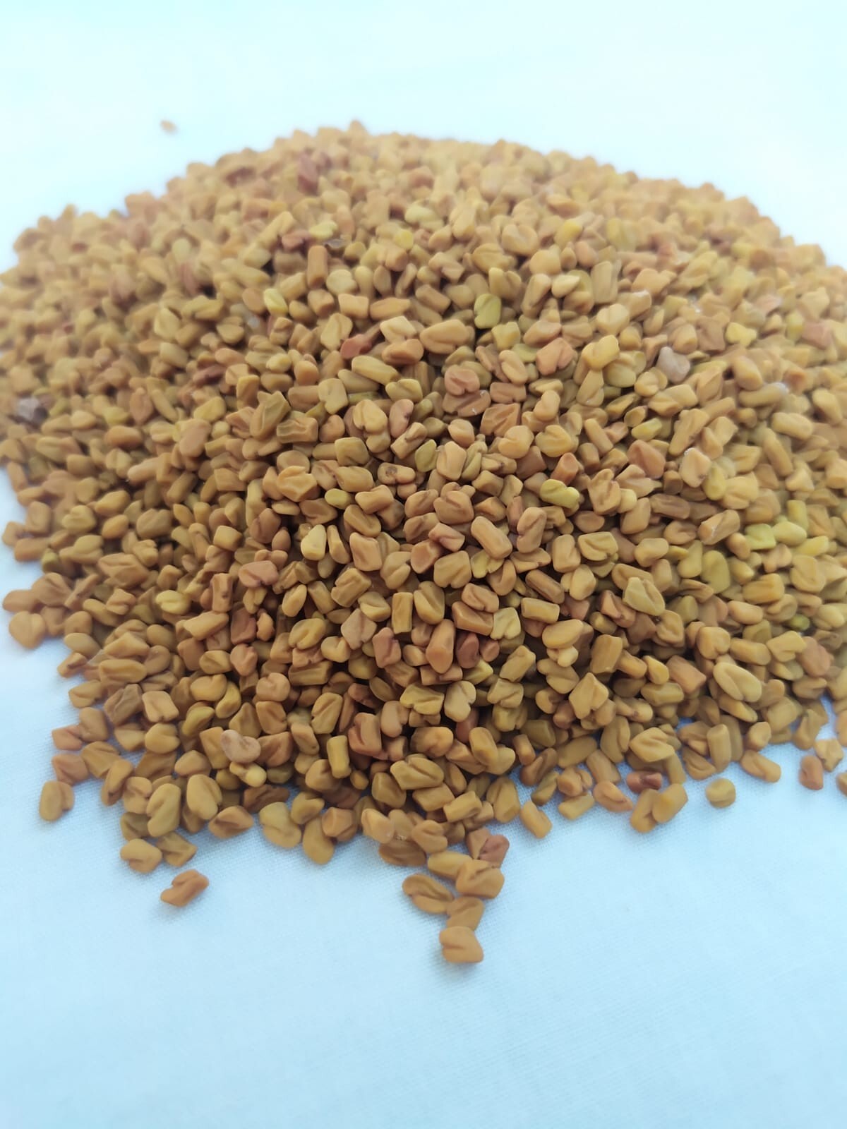 Ceylon Organic FENUGREEK Seeds Whole, Quality Pure Natural Spices Freeshipping