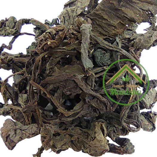 Tempuyung Dried Leaves 100g Indonesian Traditional Herbal Leaf