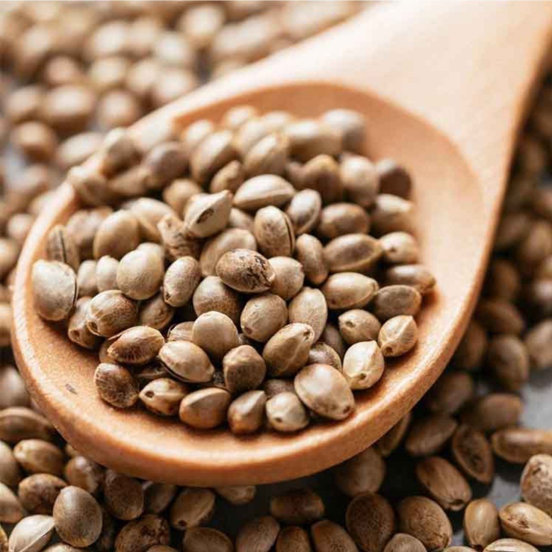 100% PURE ROASTED HEMP SEEDS GLUTEN-FREE nonGMO ORGANIC GROWN