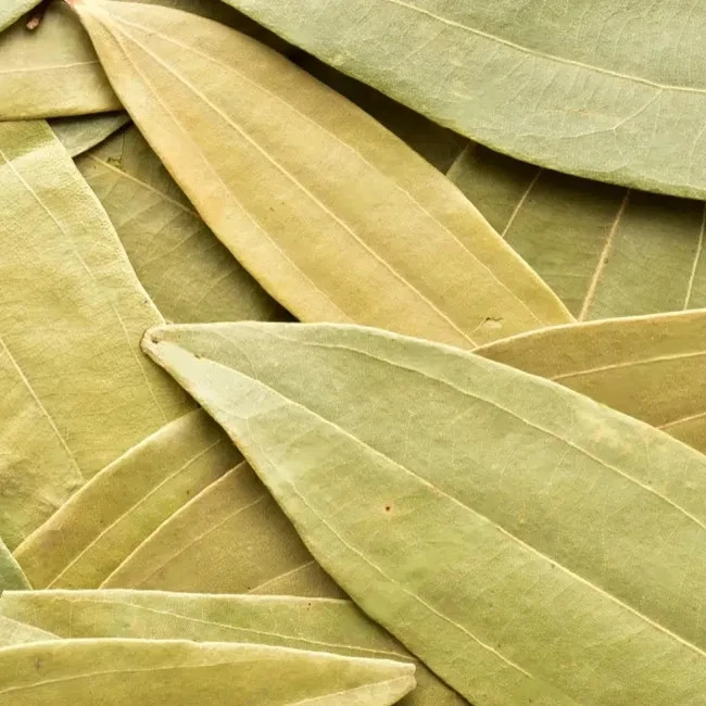Bay Leaves (Tej Patta) – Premium Quality | 100% Natural & Aromatic Spice