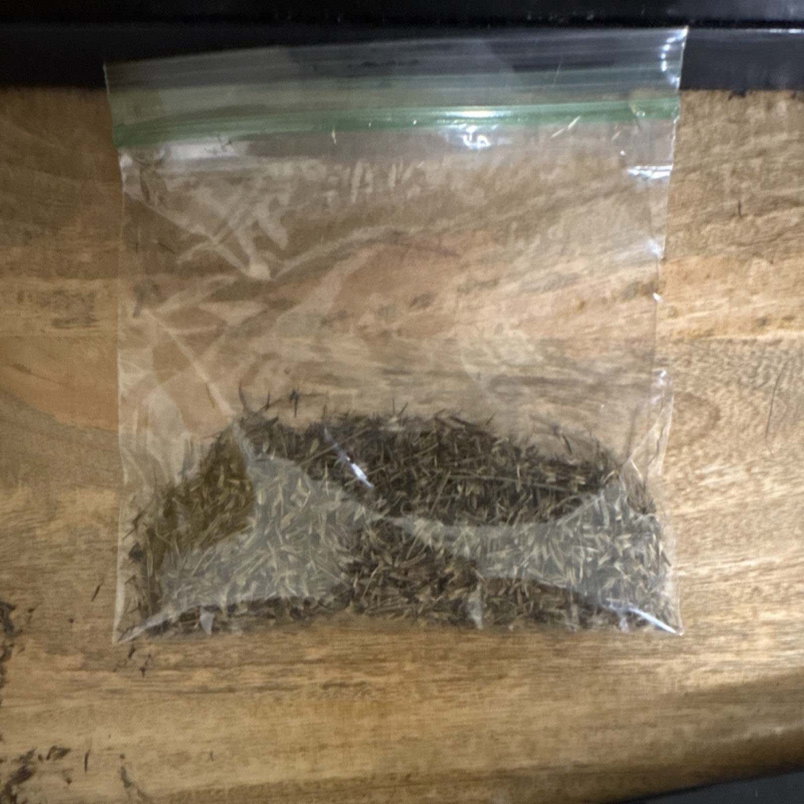 Semilla de pipicha 0.4oz