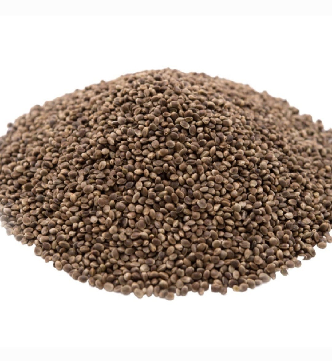 100% PURE ROASTED HEMP SEEDS GLUTEN-FREE nonGMO ORGANIC GROWN