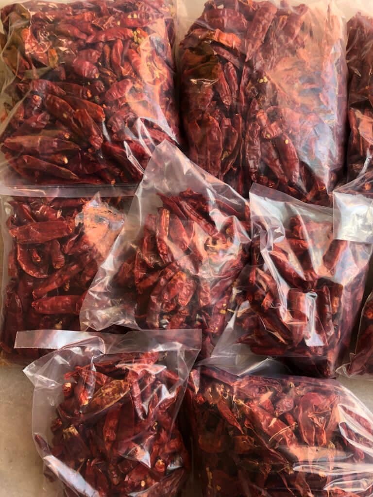 Orginal Famous Jodhpuri Mathania Red Chilli Whole, Lal Mirch Sabut/ FREE SHIP