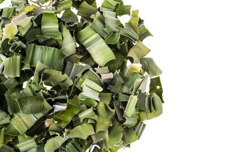 Sun Dried Pandan Leaf Pure Natural Organic Fresh dry Sri Lankan Pandan (Rampe)