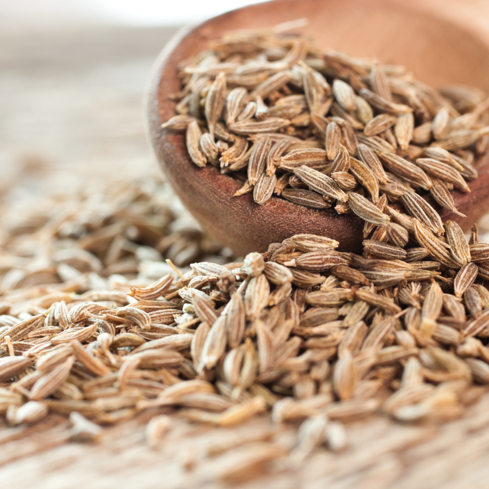 Premium Quality Cumin Seeds – Fresh from India