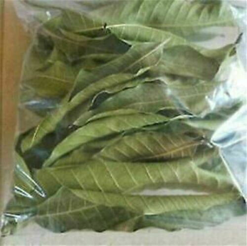 CEYLON NATURE ORGANIC SUN DRIED MANGO LEAWS 30g 100% PURE SRI LANKA PRODUCT