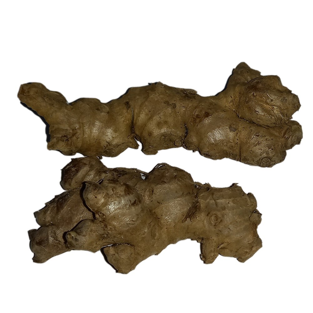 Ceylon Organic Fresh Raw Ginger Root