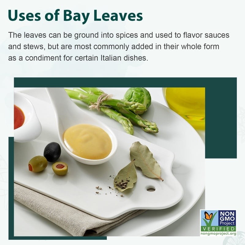 Dried Bay Leaves Whole 1 lb Aromatic Spice Soups Stews Marinades Cooking New