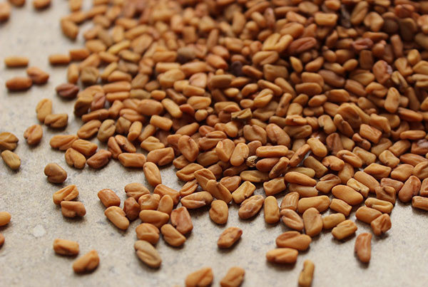 Fenugreek Seeds Dried Premium Organic Quality Pure Natural Ceylon pure spices