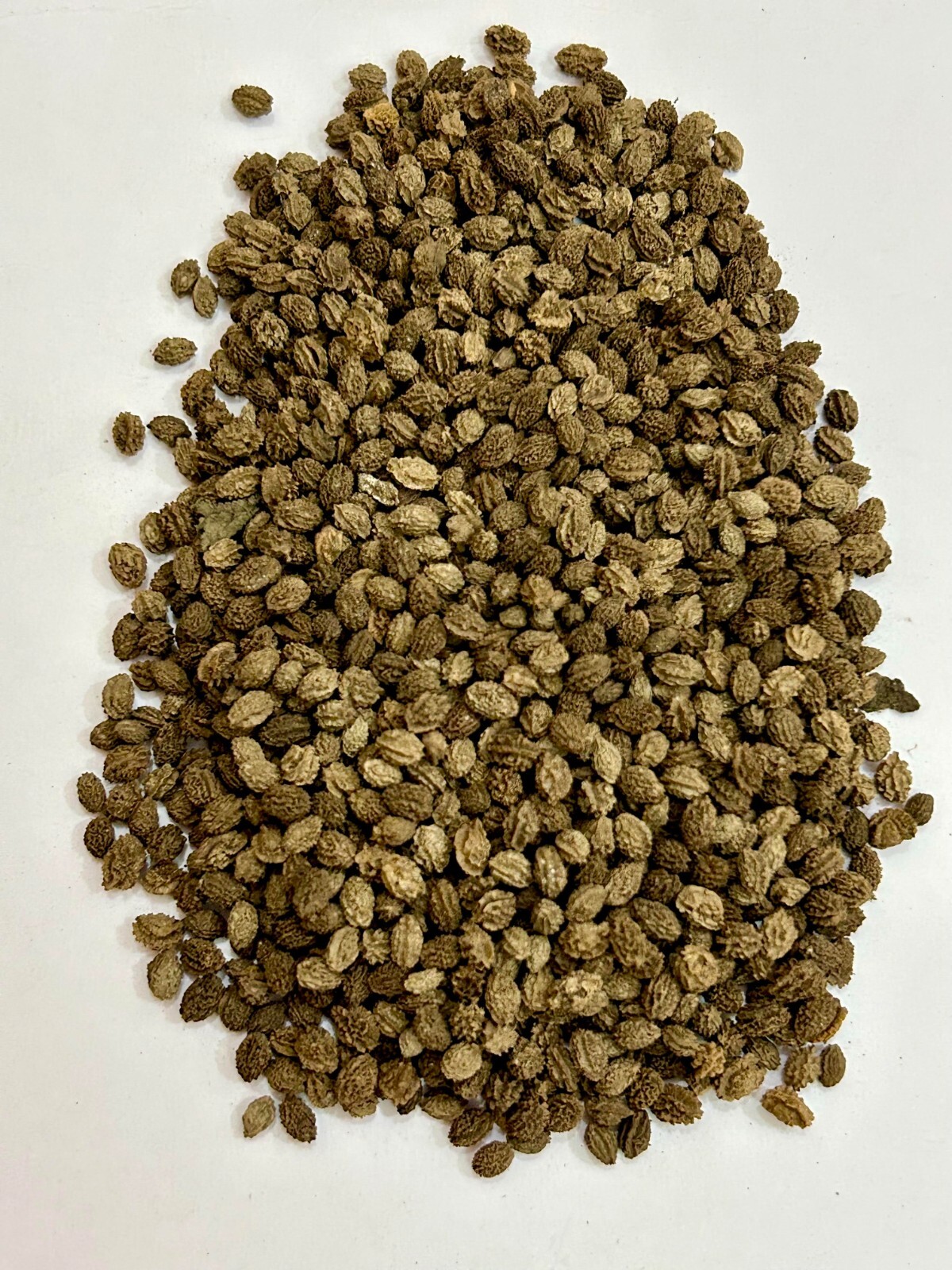 Natural Papaya Seeds,Dried Papaya Seeds, Organic Papaya Seeds,Jadi Buti Papaya