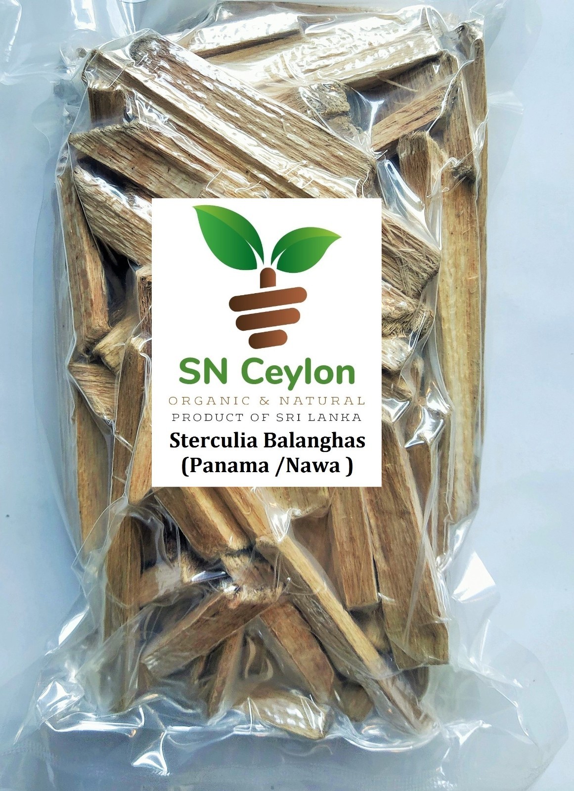 Sterculia balanghas Panama Tree Dried Plant Nawa Ceylon wild Herbs 3.5-26.5oz