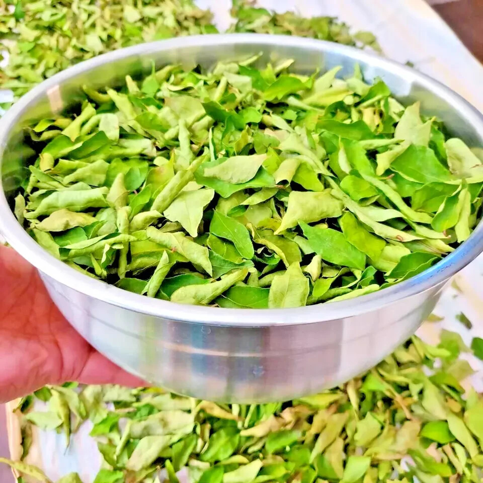 Dried Curry leaves 100% Natural Sri Lanka Product