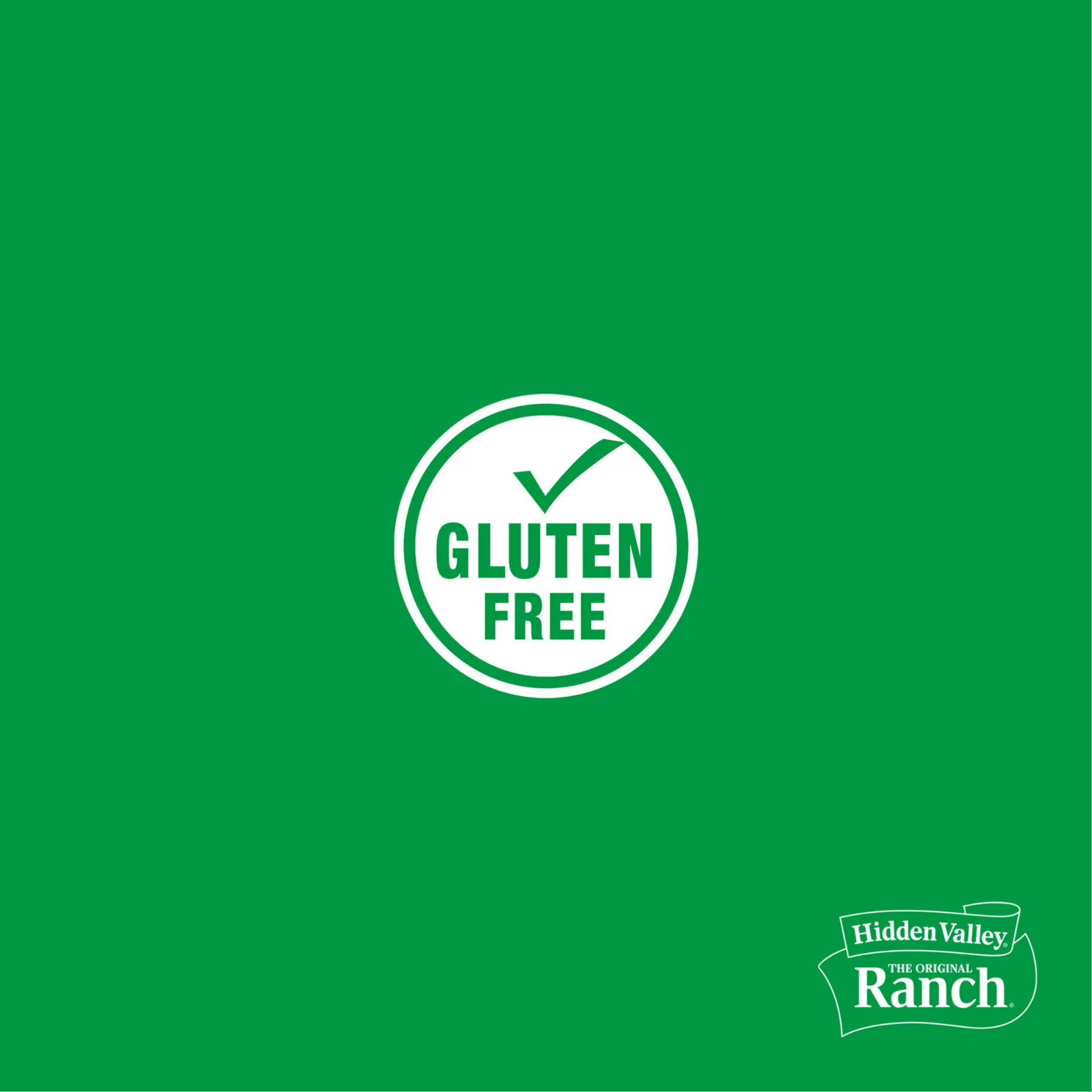 Original Ranch Seasoning Dressing & Dip Mix, 8 oz Free Shipping in 2 days