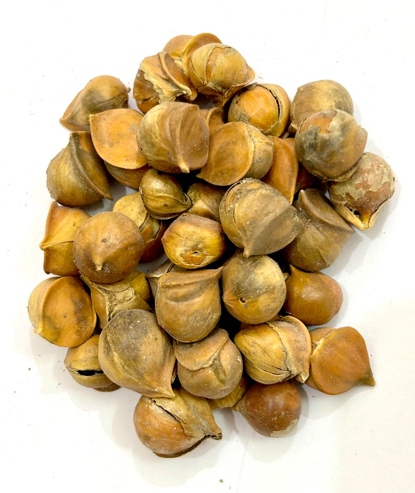 Organic Kashmiri Garlic, Fresh Pahadi Lahsun, Himalayan Garlic, Allium Sativum