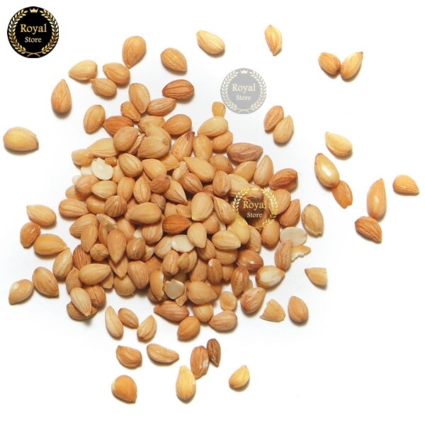 Mahaleb Prunus cherry Mahleb seed Mahlepi whole Mahlep Mahlab Mehlib محلب