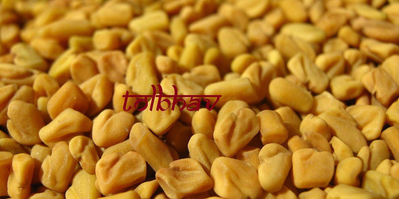 100% Certified Organic Natural Pure Fenugreek Seed Methi From India
