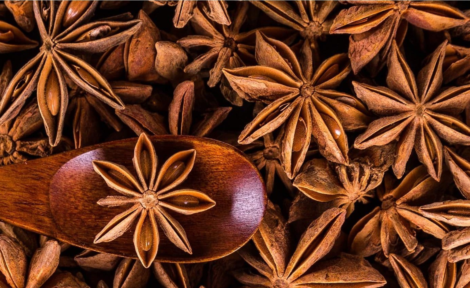 BULK Star Anise Seeds best quality BULK VALUE BAG LIMITED IN POUNDS BAG!