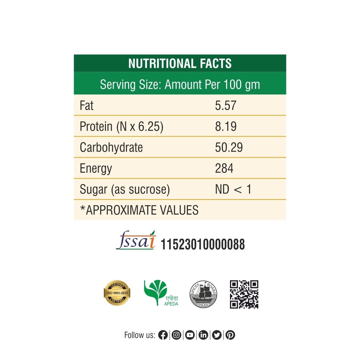 Bhoj Masale Pani Puri 100Gm