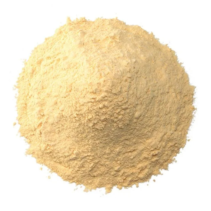 Garlic Powder Non-GMO, Raw, Vegan NY Herbs Premium FREE SHIP