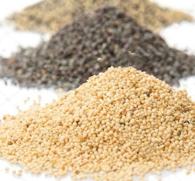 White Poppy Seeds Bulk Premium Spice – 200g 500g 1kg 2kg 3kg 5kg 10kg Bulk