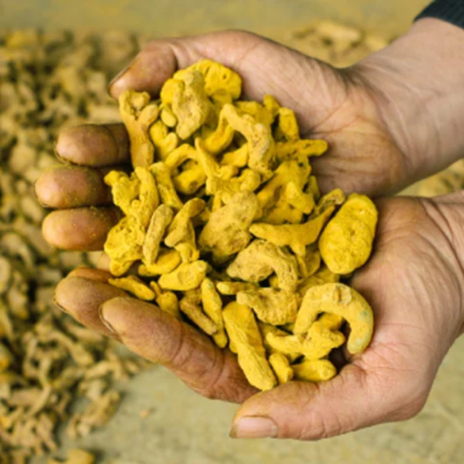 Turmeric Powder Haldi Organic Curcuma 100% Pure Natural Herbal Spice