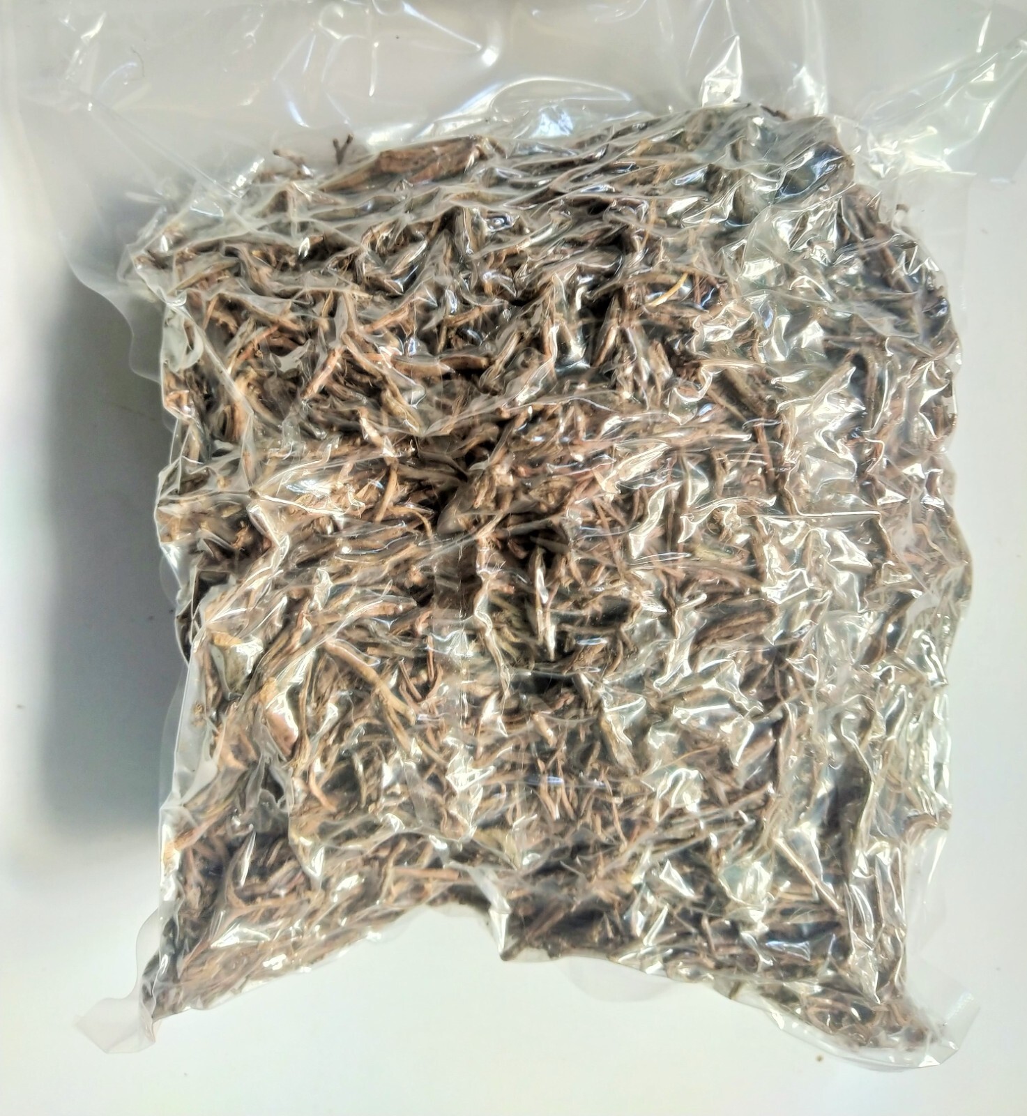 Dried Plant Parts Phoenix dactylifera Date Palm Perichchambalam rata indi 26oz