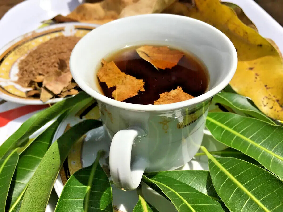 ORGANIC PURE CEYLON 100% NATURAL SUN DREIED MANGO HERBAL LEAVES 150Pcs