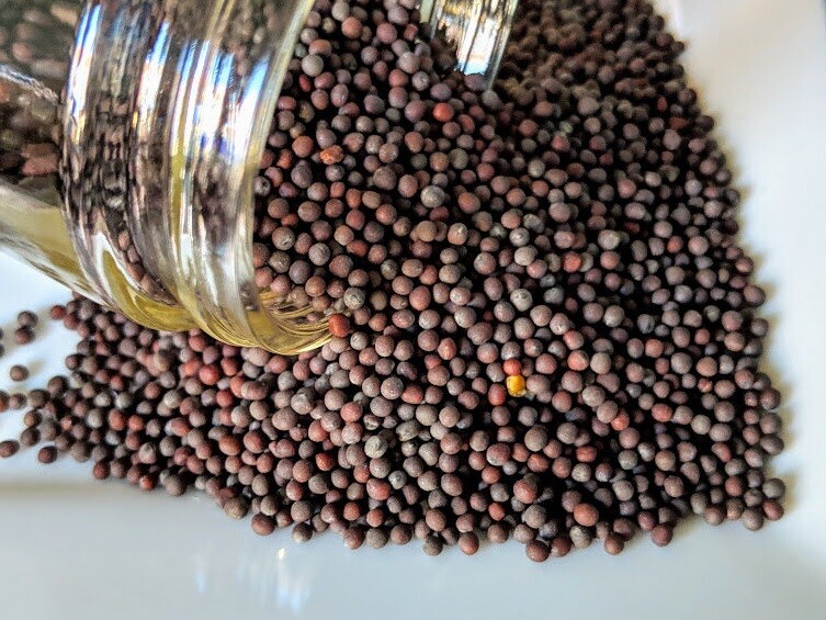 Black Mustard Seeds 1 lb(16 oz) Organi For Mustard Paste Oil & As Spice,Non-GMO