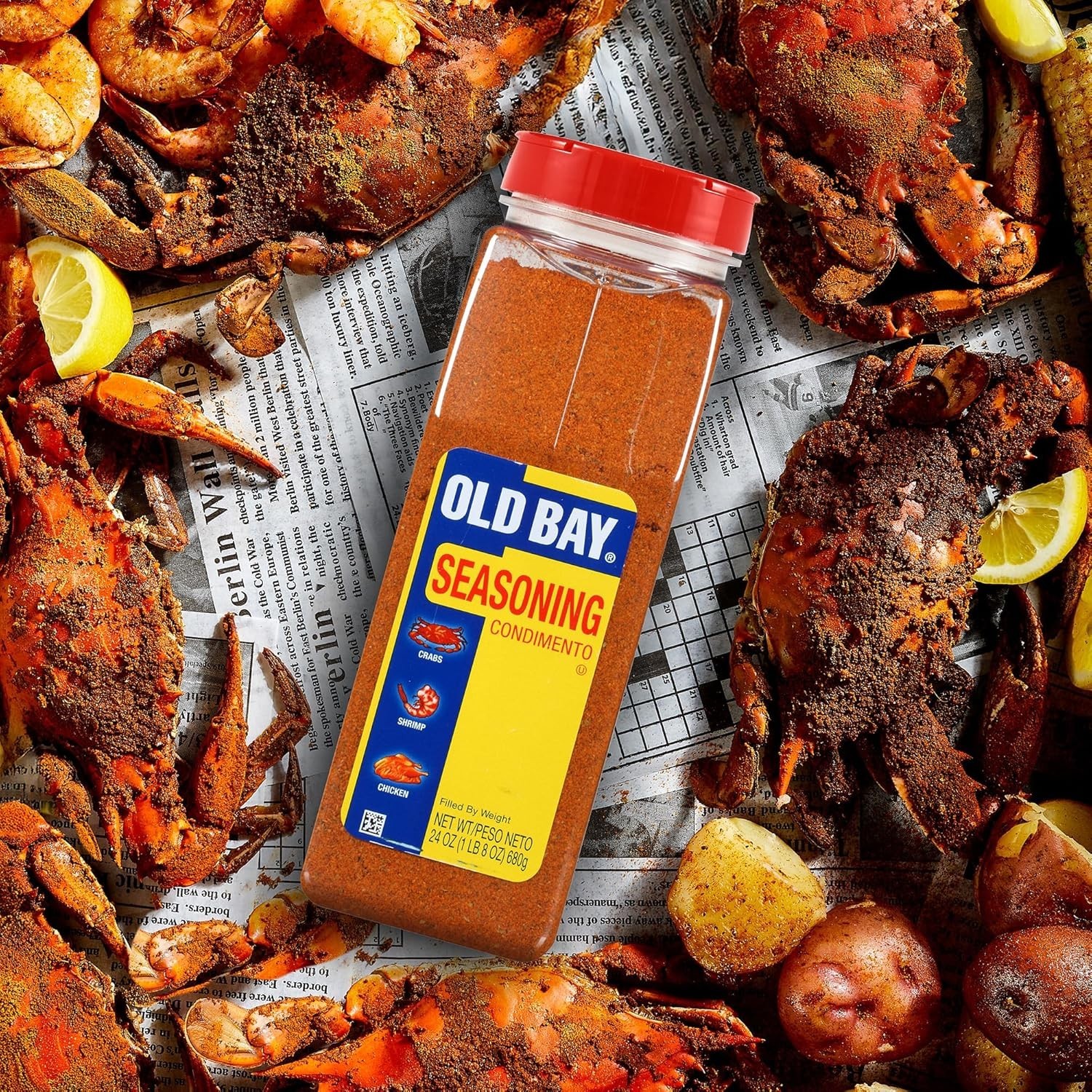 Versatile 24 oz Seasoning – Ideal for Poultry, Fries, Snacks & Enhancing Dishes