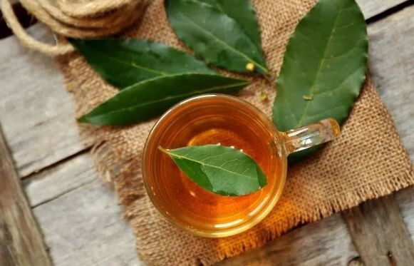 can help for Diabete 20, Fresh Organic Bay Leaves Leaf, Fresh