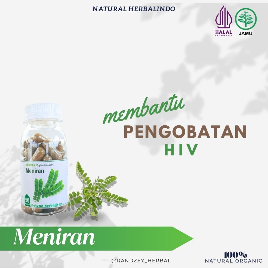 Meniran Herbal Capsules 50 Caps Indonesian Traditional Formula