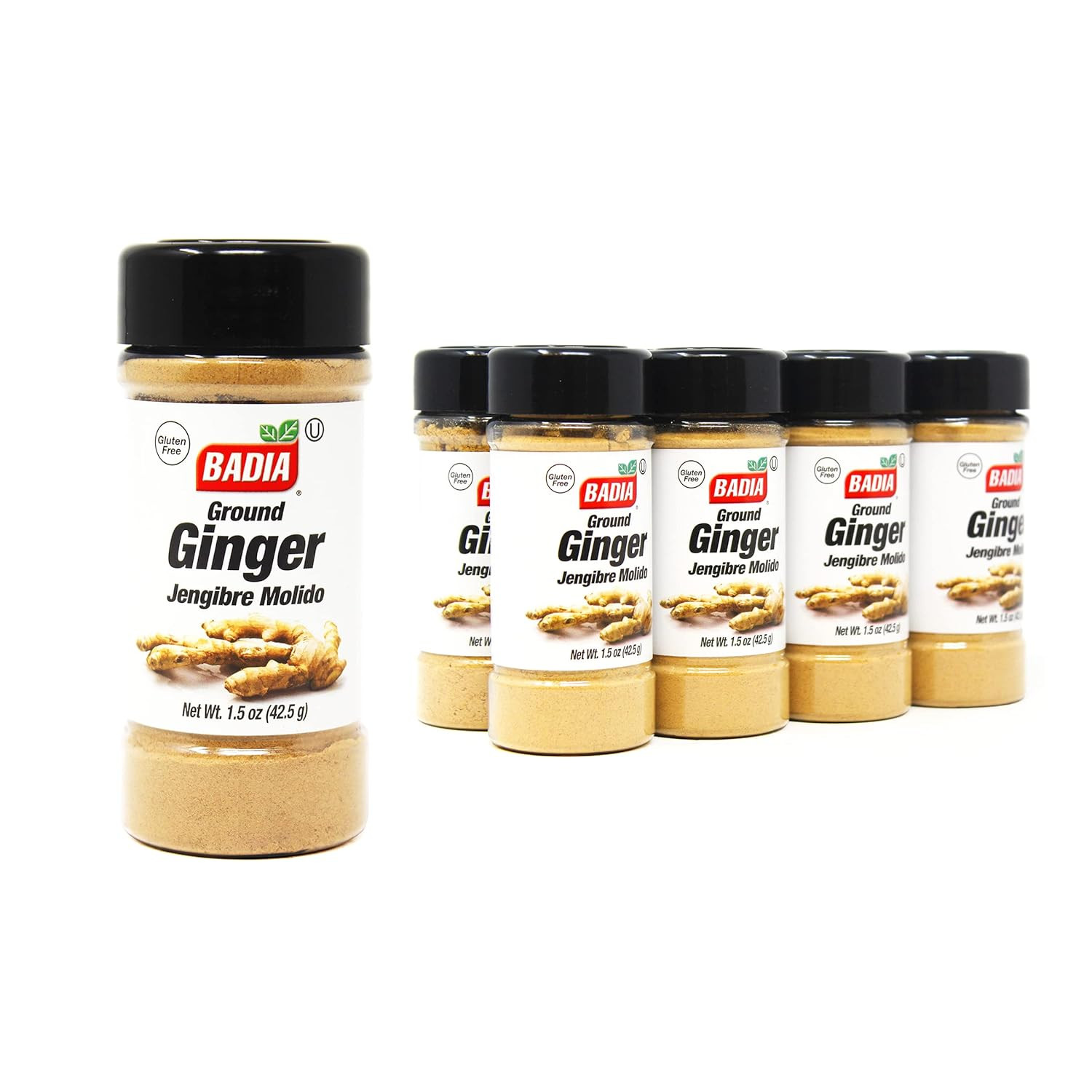 Ground Ginger Powder, 12 Oz – Fresh, Aromatic, Ground Ginger Root