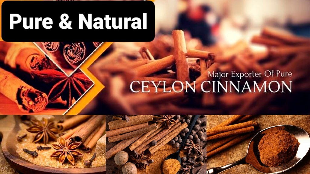Ceylon Cinnamon Sticks Organic Natural Pure Herb Product Free Shipping