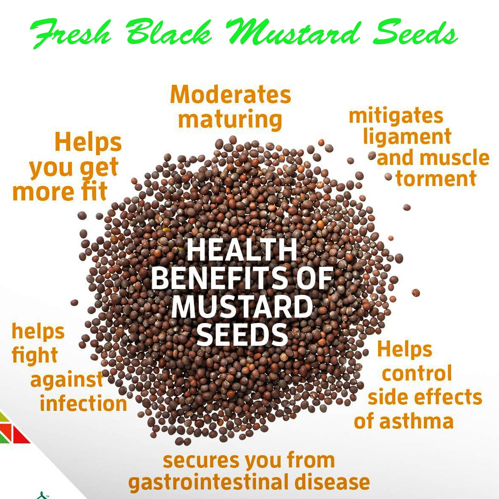 Black Mustard seeds Spices Brassica Seeds Fresh Brown Mustard Seeds 100g nigra.