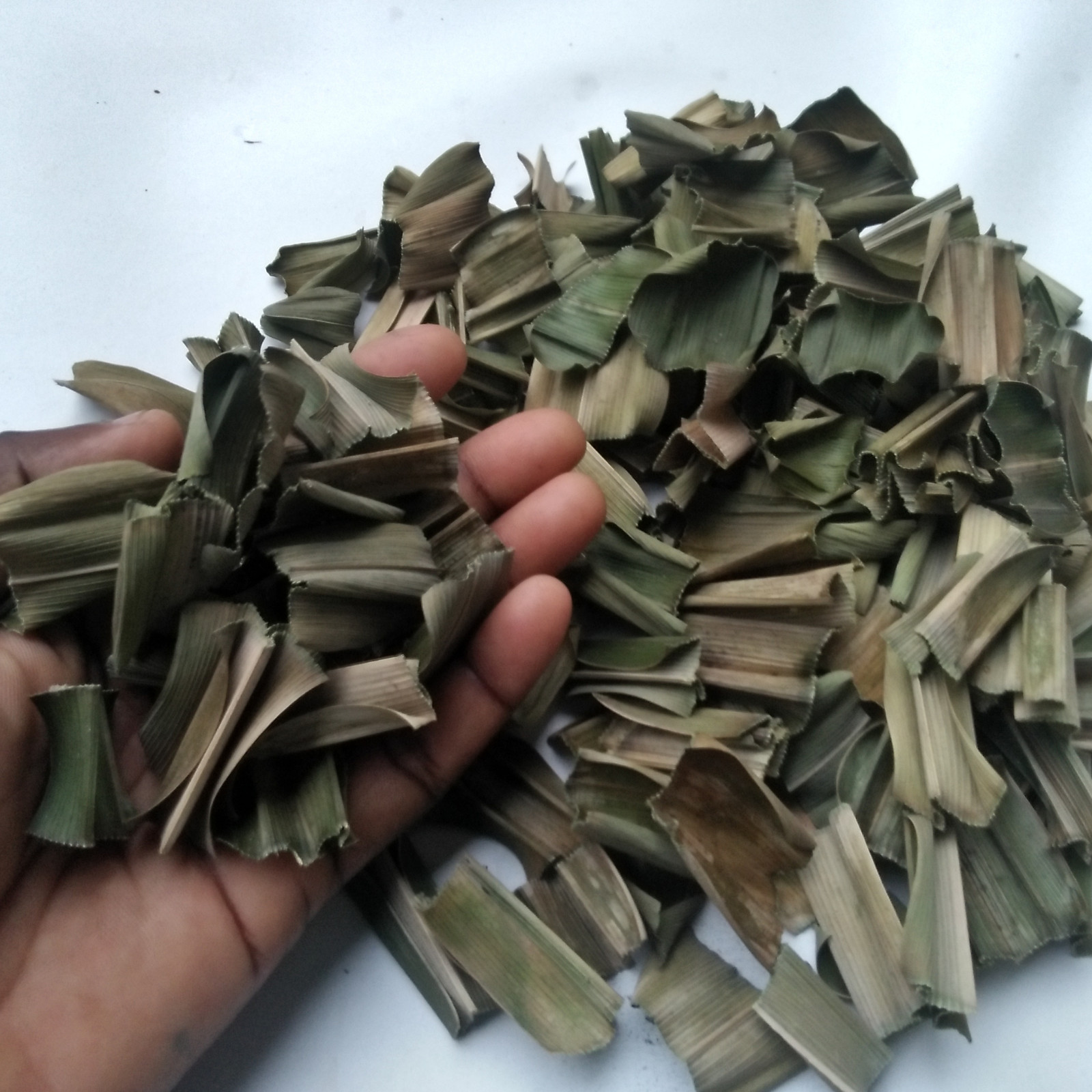 Dried Pandan Leaf Pure Quality Ceylon Spice Rampe Organic Sun Dried Leaves