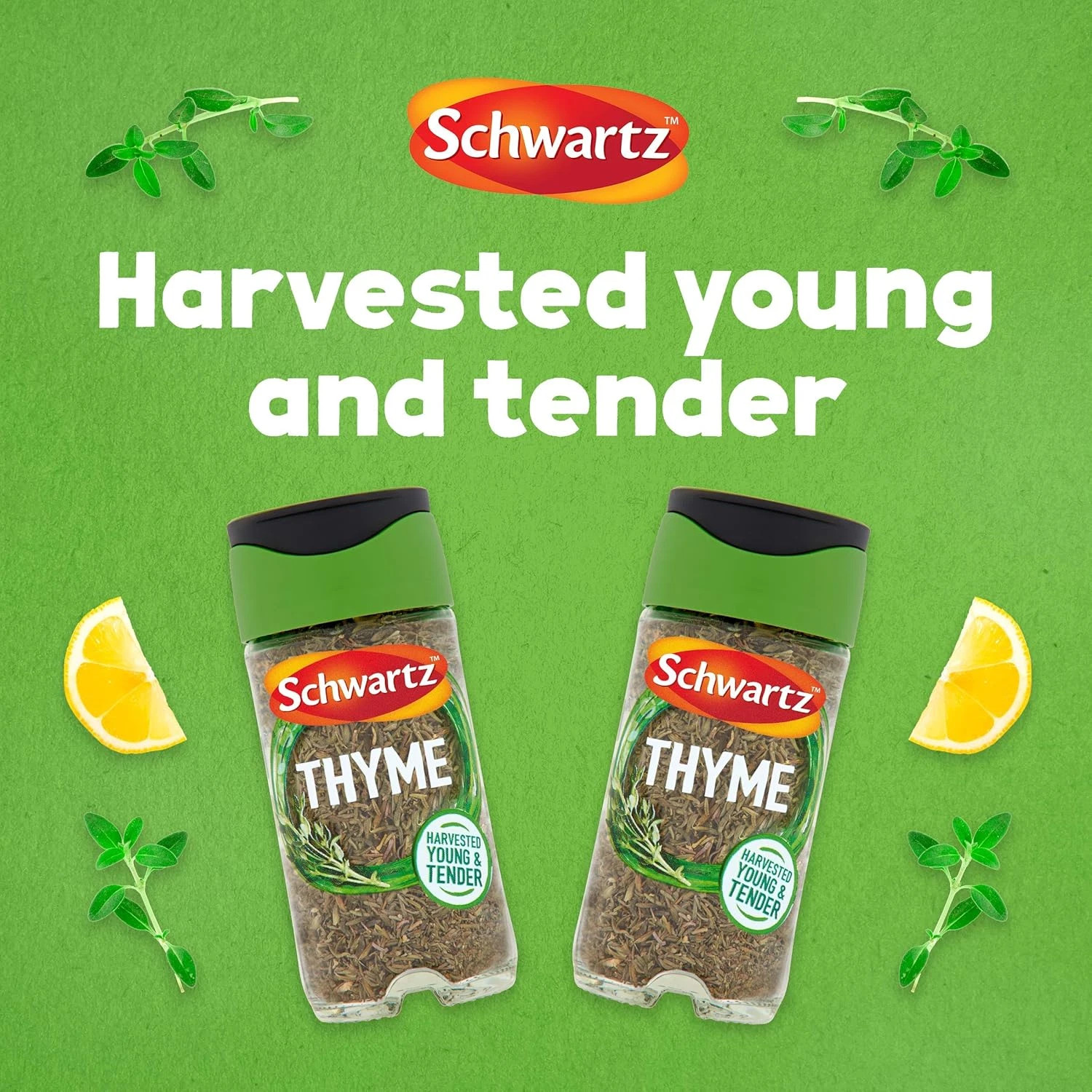 Schwartz Thyme 11g / 0.39oz Hand Picked Premium Dried Herb Seasoning (Set Of 3)