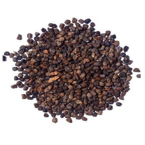 Cardamom Seeds – Bulk Premium Quality – 200g 500g 1kg 2kg 5kg 10kg 20kg