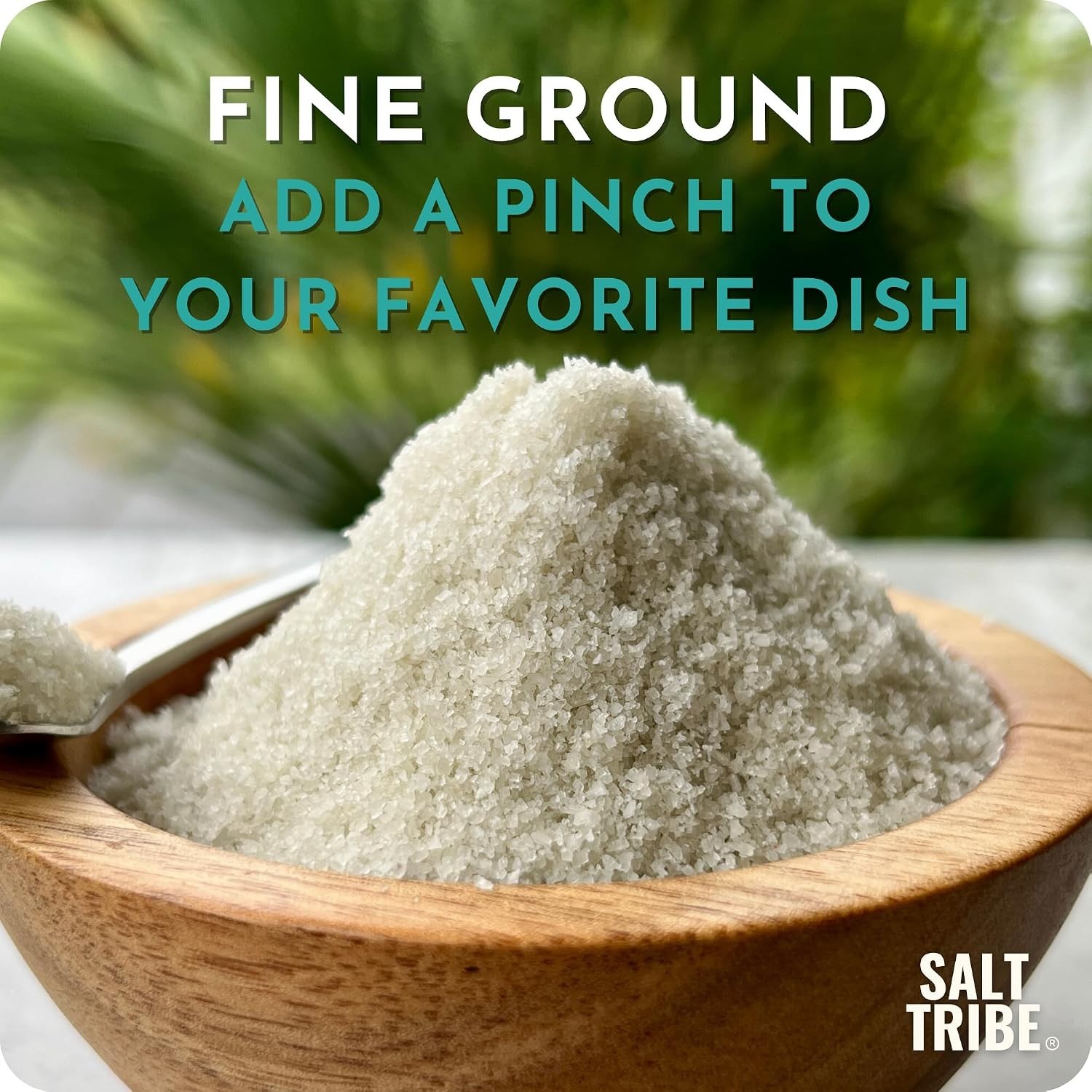 Brittany Hand Harvested Sea Salt | Fine Ground | 15 oz, Organic, Low Sodium
