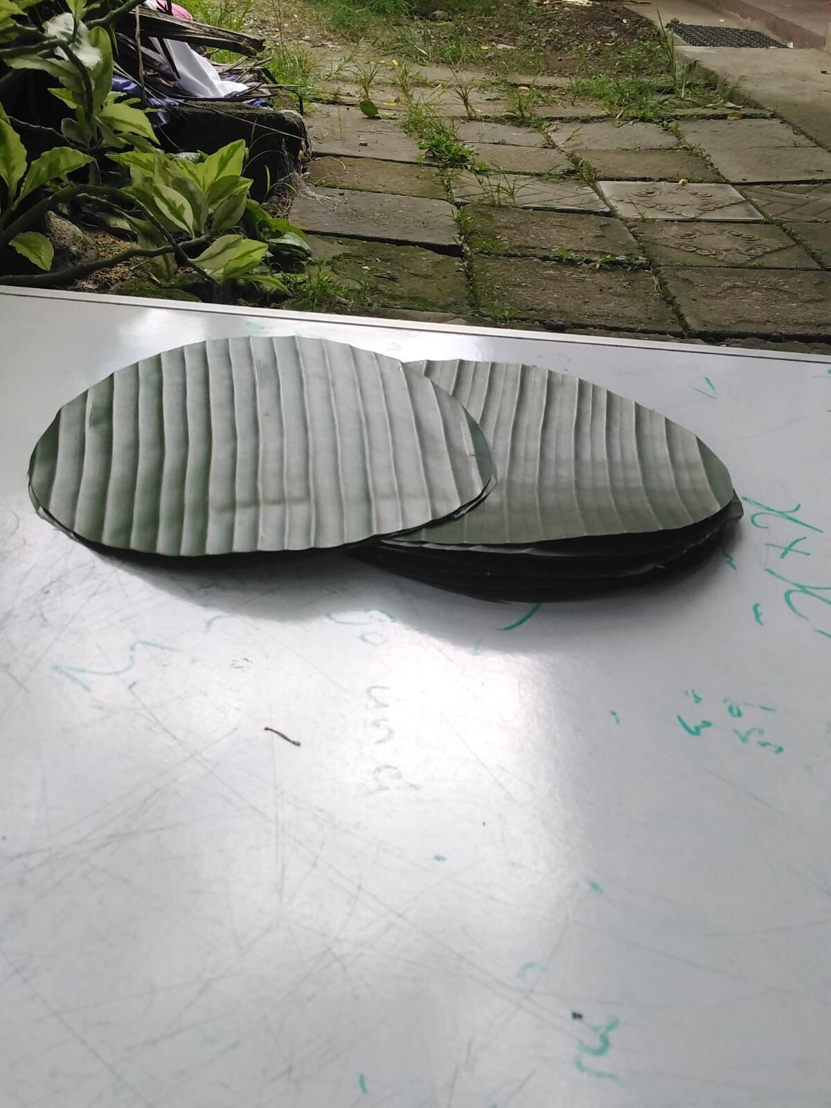 100%Natural Organic Banana Leaf/ Leaves Plate Substitute From Sri Lanka |6 PCS